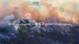 Fight against climate change - How BME688 and BME AI-Studio Server help to detect wildfires