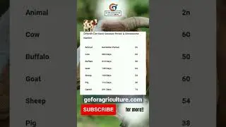 Gestation period #goforagriculture #icar #animalhusbandry #ytshort #shorts #gestationperiod