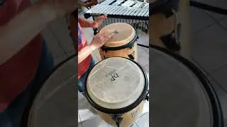 Percussions : les congas