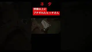 アニに超ブチギれるヒッチさん   ネタ