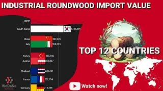 TOP 12 countries by Industrial Roundwood Import Value