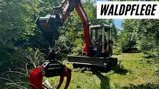 Waldpflege. Laubwald ausd&uuml;nnen mit Husqvarna 550xp und Kubota Bagger mit Krpan Holzzange.