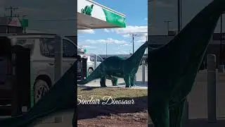 I've #not #seen a #sinclair #dinasour in #several #decades