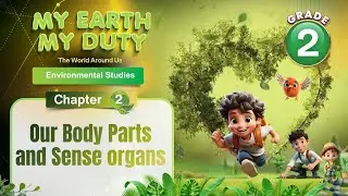 Our Body Parts and Sense Organs  | Environmental Science Class 2 | Chapter 2 | IP Study