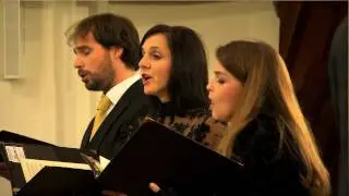 Mozart - Quoniam tu solus I RTR 2011