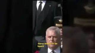 Harry Accused of Exploiting Diana&rsquo;s Legacy for Fame