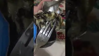 Осторожно, этият болгула