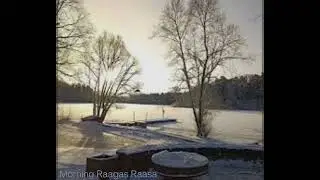 Morning Melody | Raaga Raasa | Subrata De | Sitar