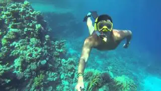 GOPR1536