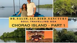 Salim Ali Bird Sanctuary Goa|Chorao Island|Soul Travelling