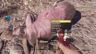 Fallout 76 - Daily: Big Game Hunter