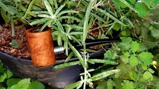 [POTD] Rattray's Ahoy, 9mm filtered pipe