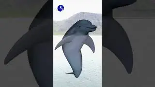 The Whale? #cgiartist #viralshort #art #vfxart #tranding