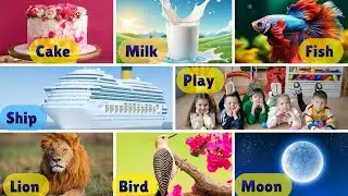 4 Letter Words in English | Four letter words list | Preschool Learning | Reading Lesson 