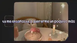 Pale Waves - Reasons To Live [Letra en Espa&ntilde;ol]