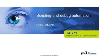 Scripting and debug automation