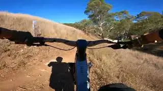 ogre gravity..FOCUS .mtb ride  @ cobbler creek