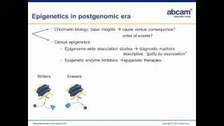 Epigenetic Editing: towards reprogramming of gene expression