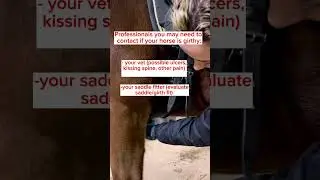 &ldquo;My horse is girthy, what do I do?&rdquo; PART TWO #horsecaretips