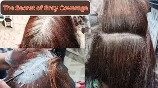 How To Cover 100% Grey Coverage Technique For Metallic Hairs || Simple Method To Neautilize Hairs