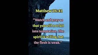 Matthew 26:41