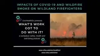 Impacts of COVID19 and Wildfire Smoke on Wildland Firefighters