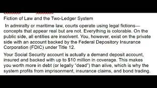 Your Life as a Bond: Uncovering the Hidden Financial System Behind Every Court Case