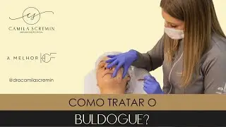 Como tratar o buldogue?