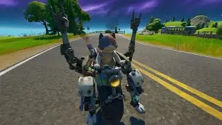 Kit built-in emote go cat go