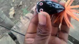 Jump frog action test oval 4cm - rada