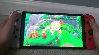 Finding Waddle Dees In Kirby and the forgotten land 