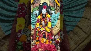NEW BUS STAND KALI MANDIRA SANDHY ALATI 🙏🏻🌺#berhampur #odisha #kali #maa #dandanacha #culture #puja
