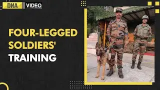 Canine warriors of Indian Army being trained to carry out search operations & attack terrorists