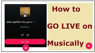 How to Go Live on Musically 2018