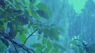 Rain & Thunder - Sleep Cozy - 8 Hours