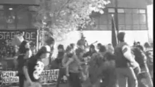 ORDEN CRIMINAL - RATAS CALLEJERAS (Eutanasia)