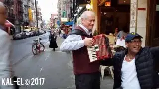 Cool Accordion player in Little Italy
