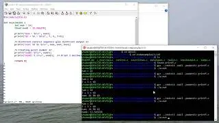 Printing int & float with printf
