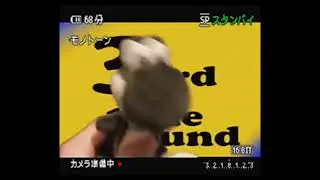 Nope You're too late I Already Super Mario Logan Show [HD Version]