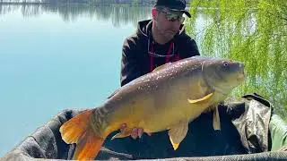 carp run delkim txi D   HD 1080p