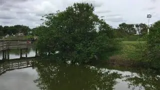 Calusa Corners Nature Trail Pond Apple Video