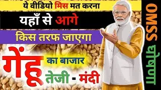 2025 में गेहूं की कीमतें कहां जाएंगी | OMSS स्कीम और स्टॉक लिमिट का असर | किसानों के लिए बड़ा अलर्ट