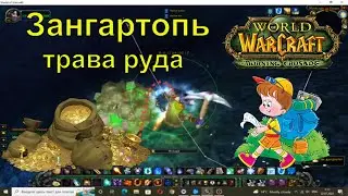 Маршрут Зангартопь фарм голда травы руды wow burning crusade Запределье warcraft вов манаполох аддон