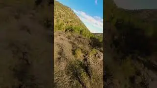 #relaxsing #fpv #nature