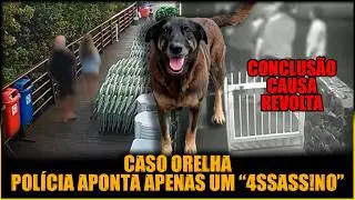 APENAS UM SUSPEITO É INDICIADO NO CASO ORELHA