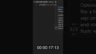 Hello World Program Speedrun in Python