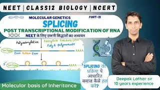 SPLICING 🧬| Post Transcriptional Modifiaction of hnRNA 🧬| Processing of hnRNA in Eukaryotes 