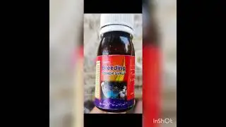 Breeding power Syrup 🦜 parrot.birds medicin growing 🥚 eggs.