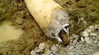 VID 20121105 130942