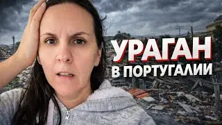 Мой город после стихии: что осталось